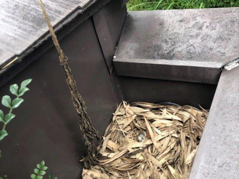 ドレン廻りが詰まっている1