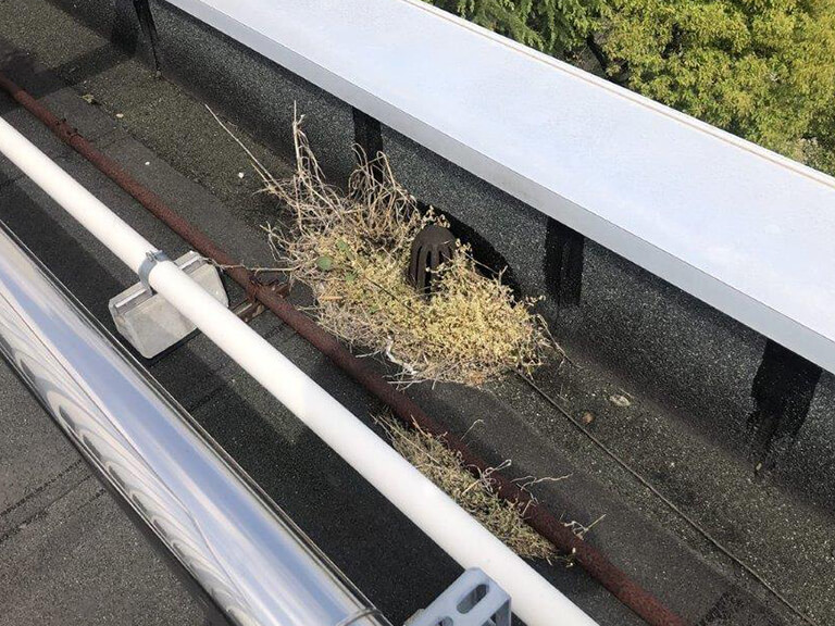 ドレン廻りが詰まっている3